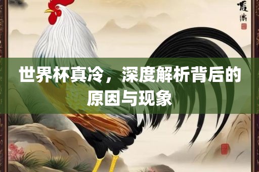 世金炬实业股份有限公司界杯真冷，深度解析背后的原因与现象