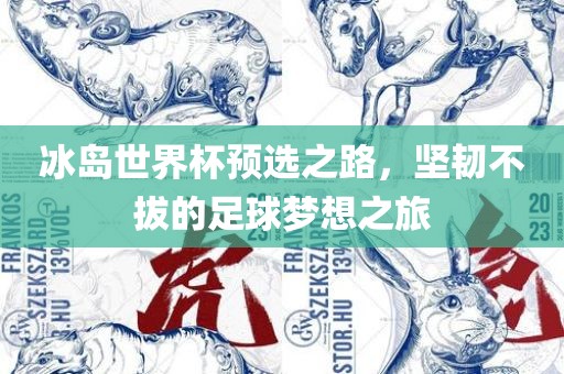 冰岛世界杯预选之路，坚韧不拔的足球梦想之旅