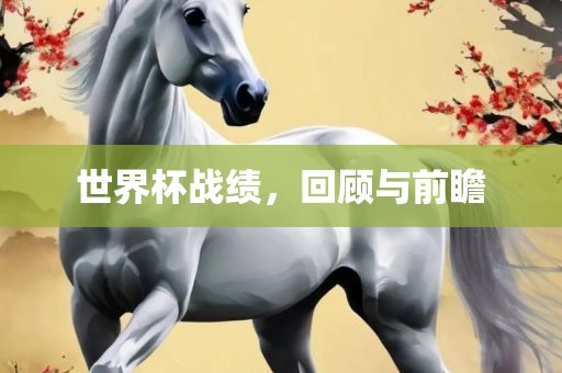 世界杯战绩，回顾与前瞻