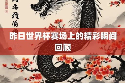 昨日世界杯赛场上的精彩瞬间回顾