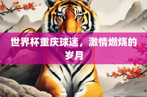 世界杯重庆球迷，激情燃烧的岁月