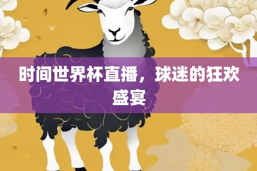 时间世界杯直播，球迷的狂欢盛宴