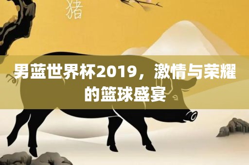 男蓝世界杯2019，激情与荣耀的篮球盛宴
