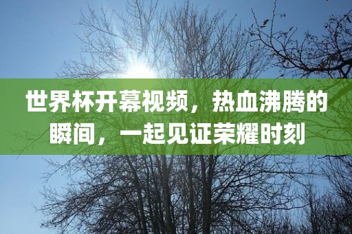 世界杯开幕视频，热血沸腾的瞬间，一起见证荣耀时刻金炬实业股份有限公司